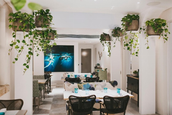 Spicers Potts Point image 7